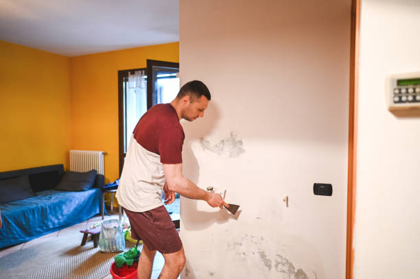 Best Black Mold Removal  in Decatur, TX